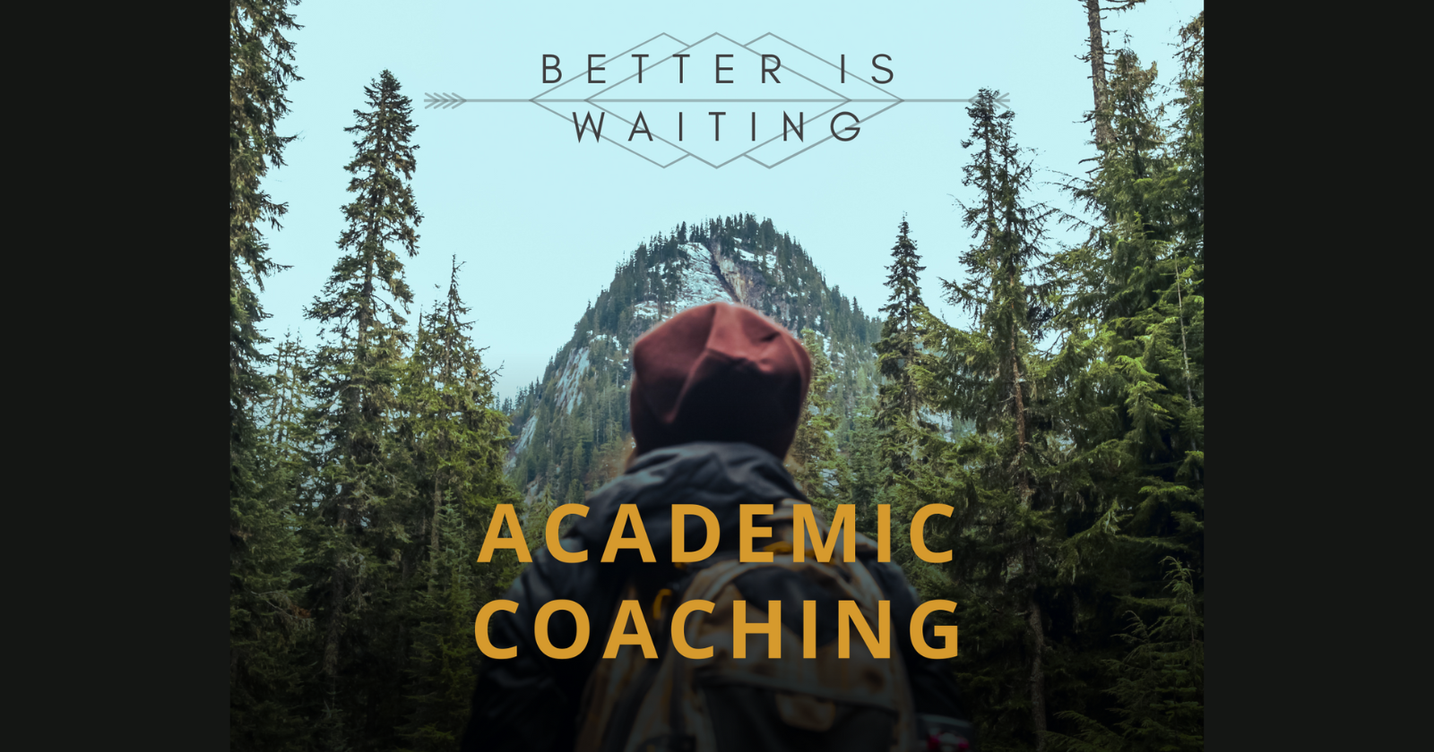 Academic Coaching graphic